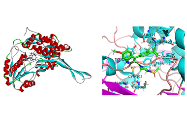 Discovery of Novel Acetaldehyde Dehydrogenase 1A1 (ALDH1A1) Inhibitors by Utilizing 3D-QSAR, Molecular Docking and Molecular Dynamics Simulation 2011-2982
